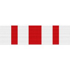 Puerto Rico National Guard Civil Disturbance Ribbon
